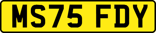 MS75FDY
