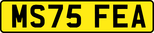 MS75FEA