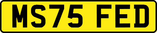 MS75FED