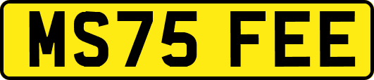 MS75FEE