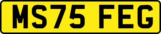 MS75FEG