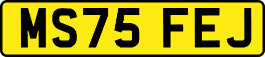MS75FEJ