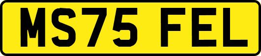MS75FEL