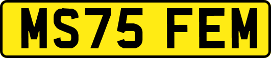 MS75FEM