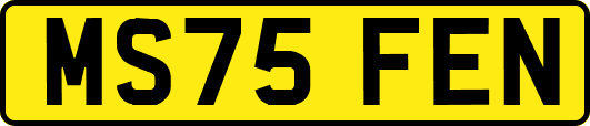 MS75FEN