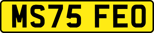MS75FEO