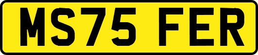 MS75FER