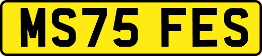 MS75FES
