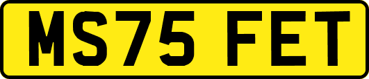 MS75FET