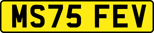 MS75FEV