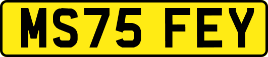 MS75FEY