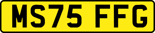 MS75FFG