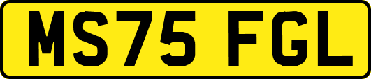 MS75FGL