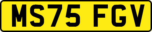 MS75FGV