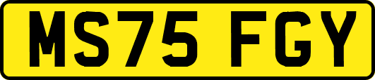 MS75FGY