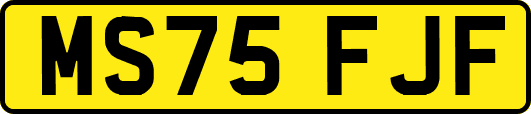 MS75FJF