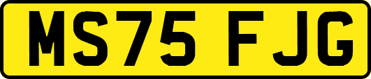 MS75FJG