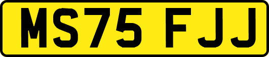 MS75FJJ