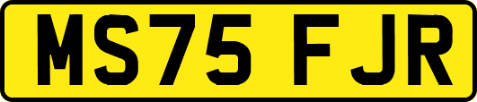 MS75FJR