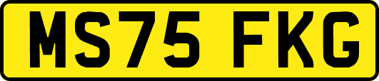 MS75FKG