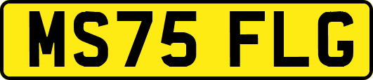 MS75FLG