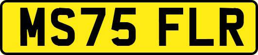 MS75FLR