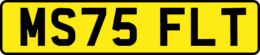 MS75FLT