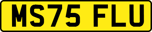 MS75FLU
