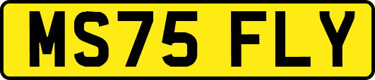 MS75FLY