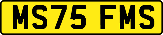 MS75FMS