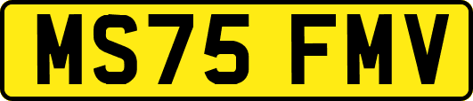 MS75FMV