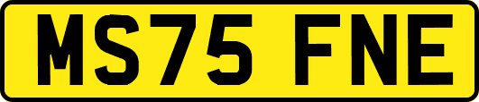 MS75FNE