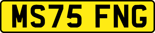 MS75FNG