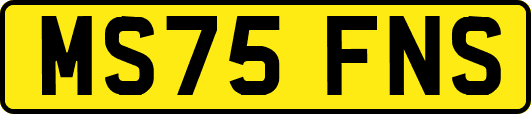 MS75FNS