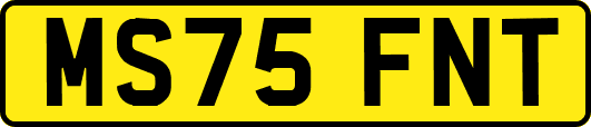 MS75FNT