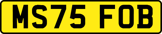 MS75FOB