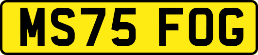 MS75FOG