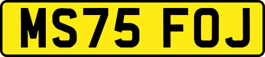 MS75FOJ