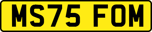 MS75FOM