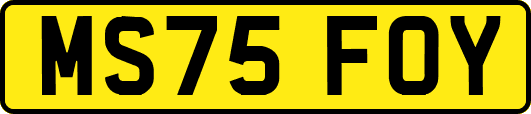 MS75FOY