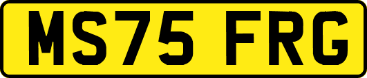 MS75FRG