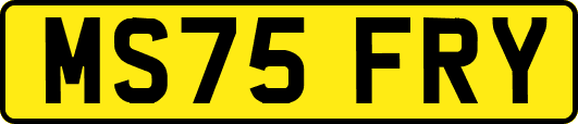 MS75FRY