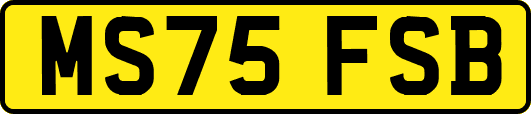MS75FSB