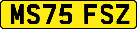 MS75FSZ