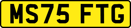 MS75FTG