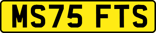 MS75FTS