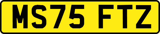 MS75FTZ