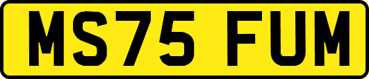 MS75FUM