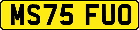 MS75FUO