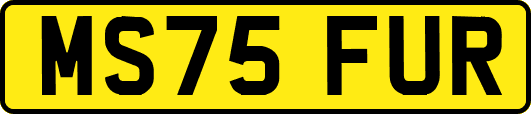 MS75FUR